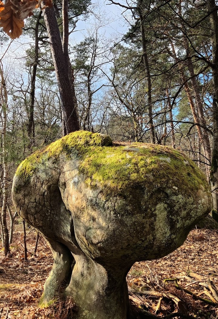 The Elephant Stone 3
